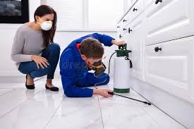 Professional Pest Control in Kilgore, TX